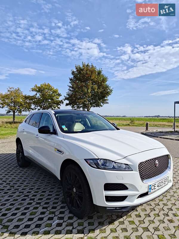 Позашляховик / Кросовер Jaguar F-Pace 2016 в Герці