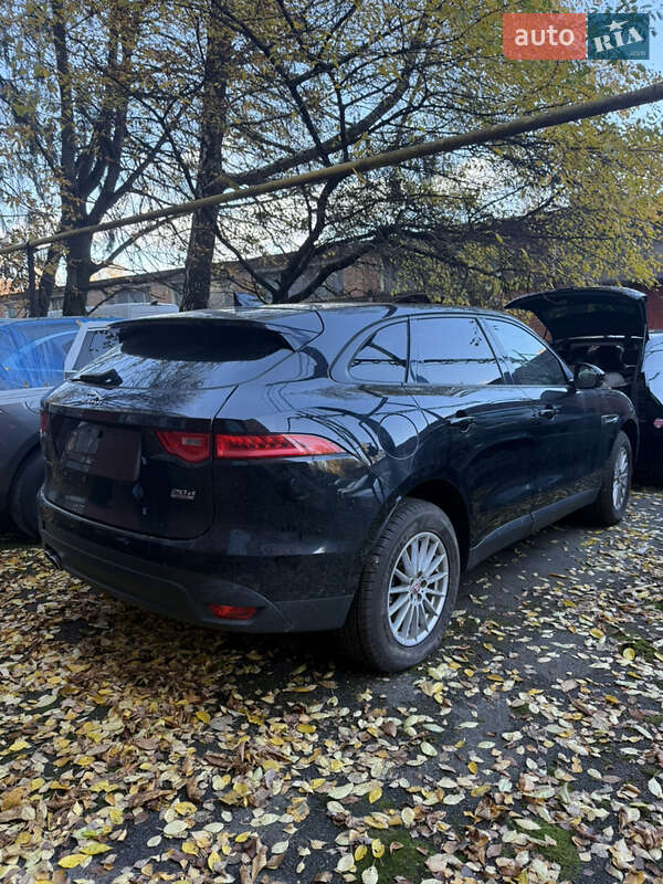 Внедорожник / Кроссовер Jaguar F-Pace 2016 в Хмельницком фото 14 Внедорожник / Кроссовер Jaguar F-Pace 2016 в Хмельницком