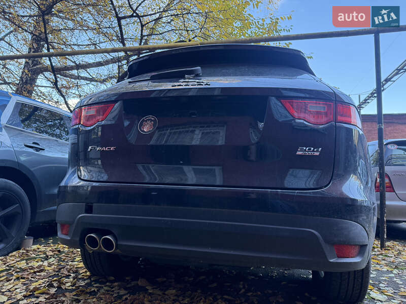 Внедорожник / Кроссовер Jaguar F-Pace 2016 в Хмельницком фото 16 Внедорожник / Кроссовер Jaguar F-Pace 2016 в Хмельницком