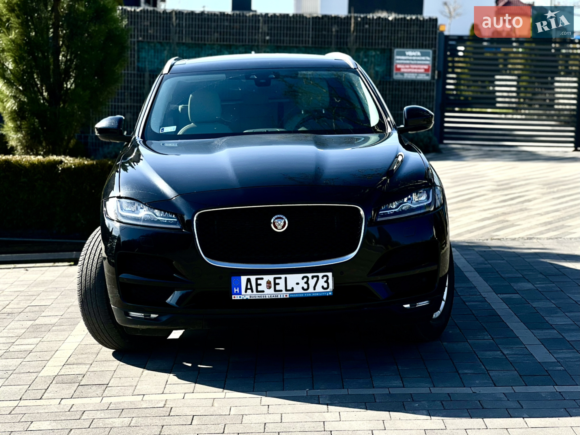 2019 Jaguar F-Pace - мініатюра 2