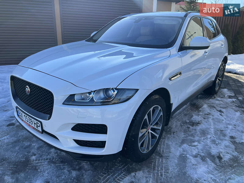 Внедорожник / Кроссовер Jaguar F-Pace 2016 в Хмельницком фото 31 Внедорожник / Кроссовер Jaguar F-Pace 2016 в Хмельницком