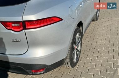 Внедорожник / Кроссовер Jaguar F-Pace 2017 в Житомире