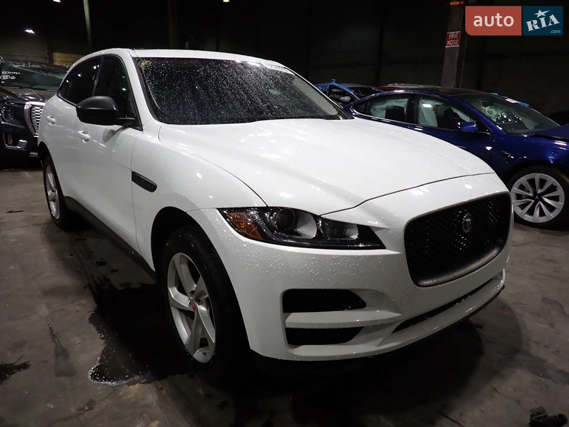 2016 Jaguar F-Pace - мініатюра 3