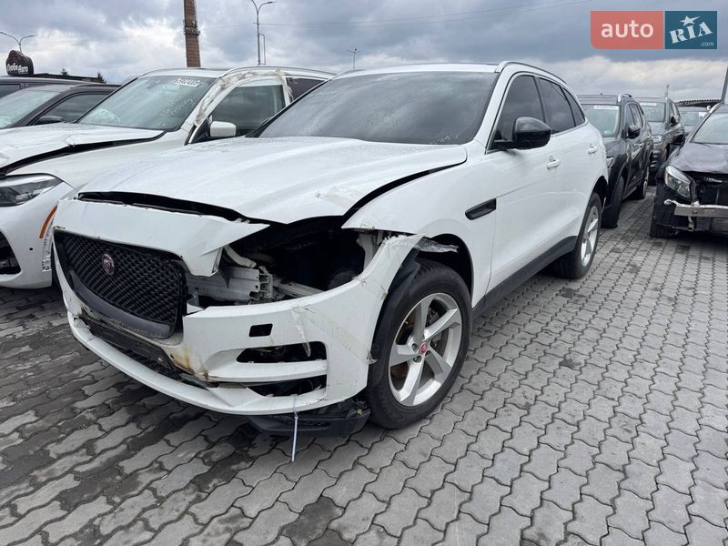 2019 Jaguar F-Pace, VIN SADCA2BN5LA640738:plate — фото 1 (autoria)