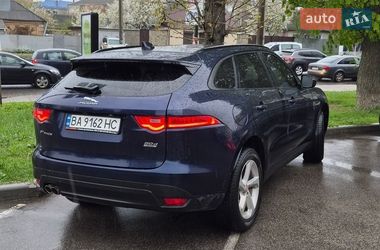 Внедорожник / Кроссовер Jaguar F-Pace 2016 в Кропивницком