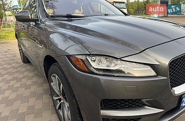 Внедорожник / Кроссовер Jaguar F-Pace 2017 в Лубнах
