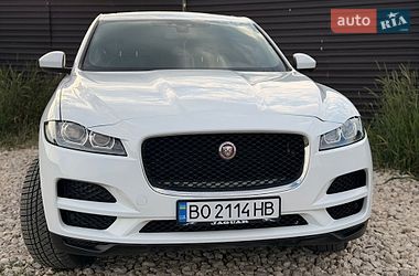 Позашляховик / Кросовер Jaguar F-Pace 2017 в Тернополі