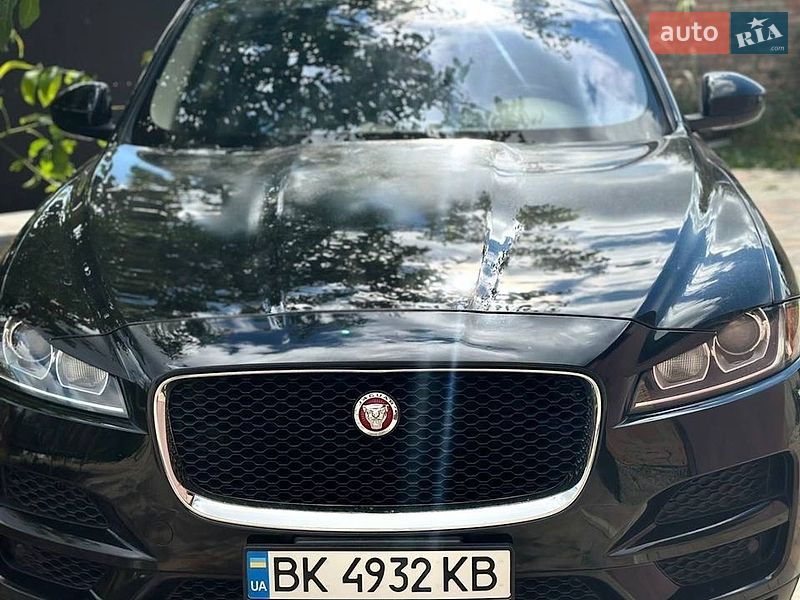 Внедорожник / Кроссовер Jaguar F-Pace 2016 в Ровно