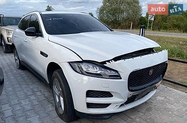 Позашляховик / Кросовер Jaguar F-Pace 2019 в Львові