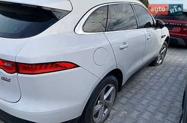 Позашляховик / Кросовер Jaguar F-Pace 2019 в Львові