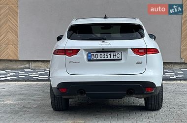 Позашляховик / Кросовер Jaguar F-Pace 2019 в Тернополі