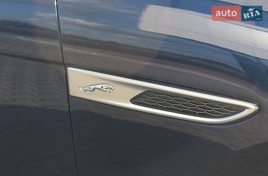 Внедорожник / Кроссовер Jaguar F-Pace 2022 в Ровно