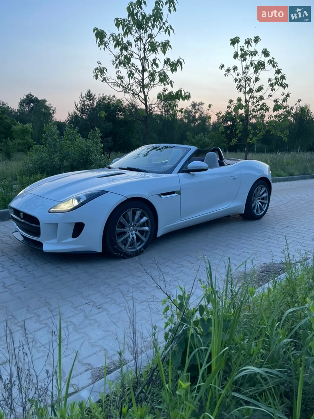 2013 Jaguar F-Type - мініатюра 7