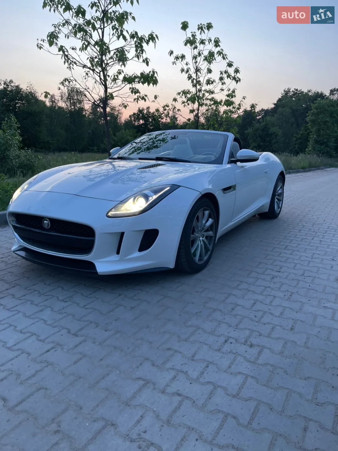 2013 Jaguar F-Type - мініатюра 2