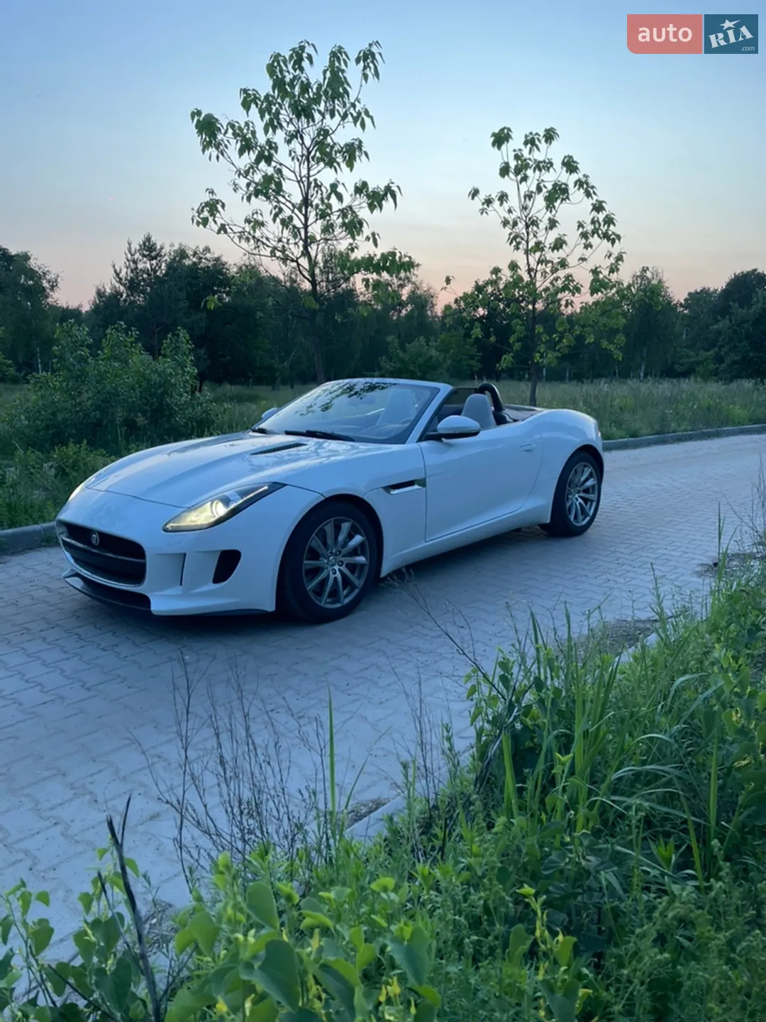 2013 Jaguar F-Type - мініатюра 3