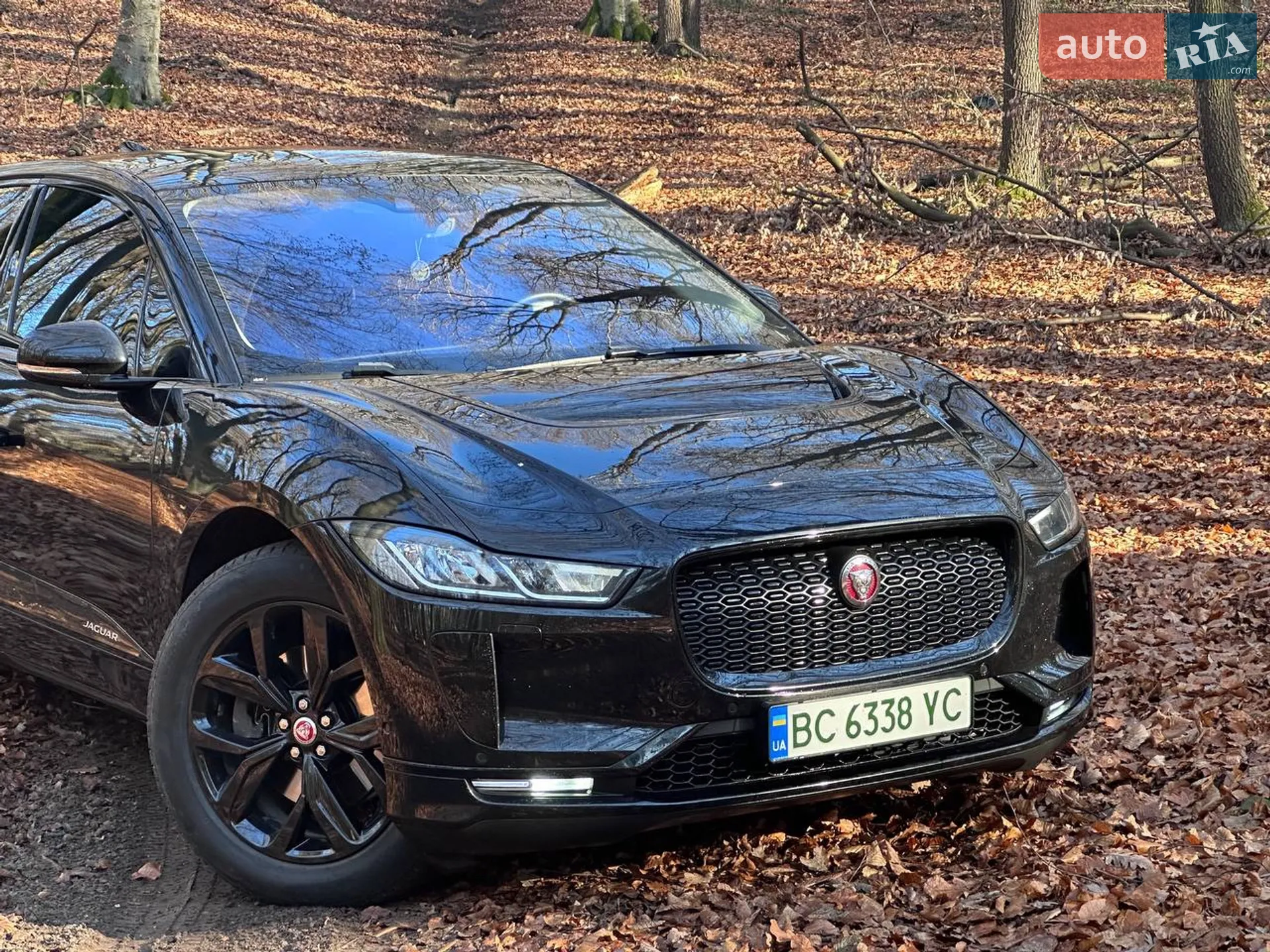 2019 Jaguar I-Pace - мініатюра 9