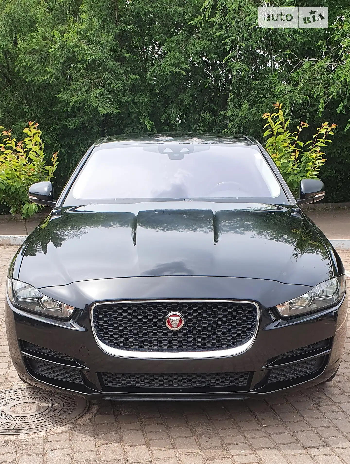 2016 Jaguar XE - мініатюра 5