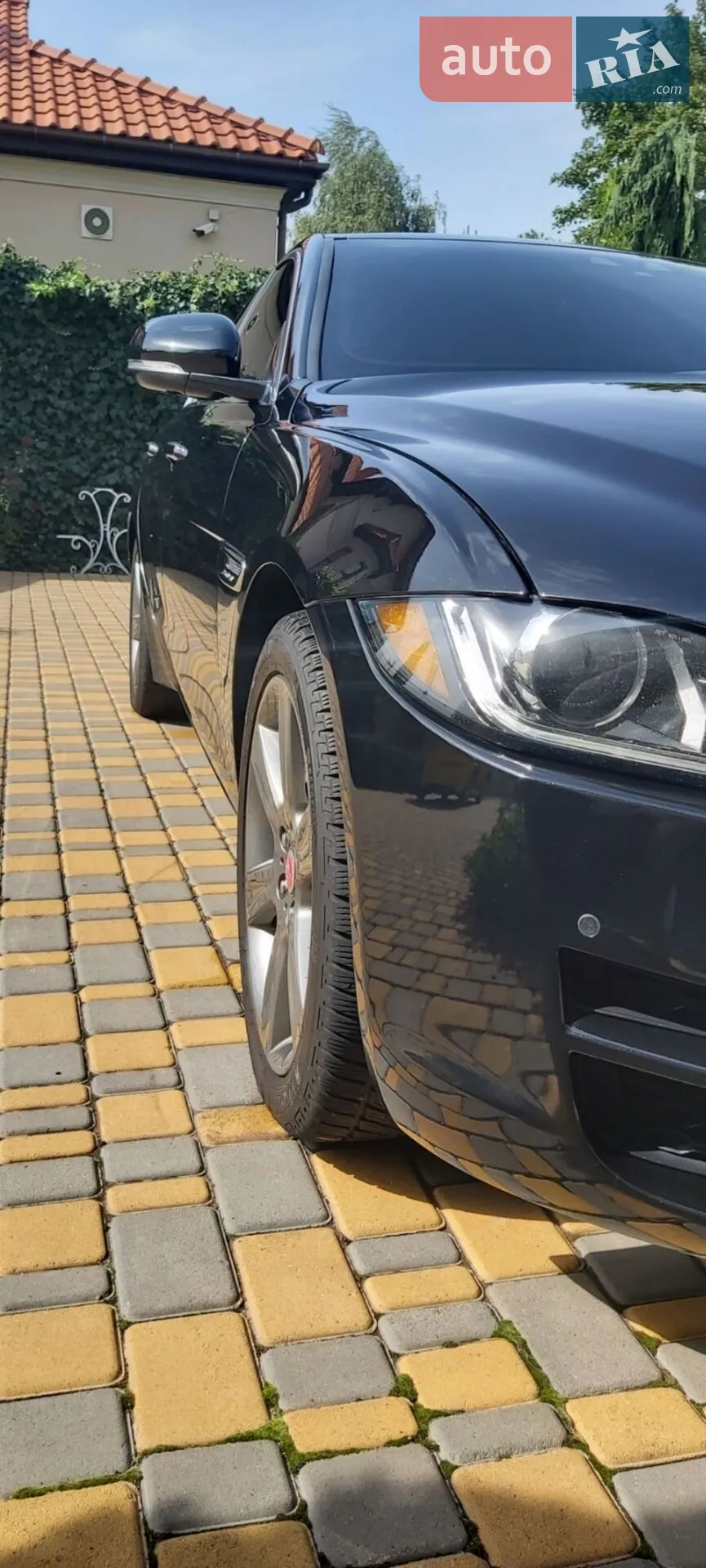 2016 Jaguar XE - мініатюра 5