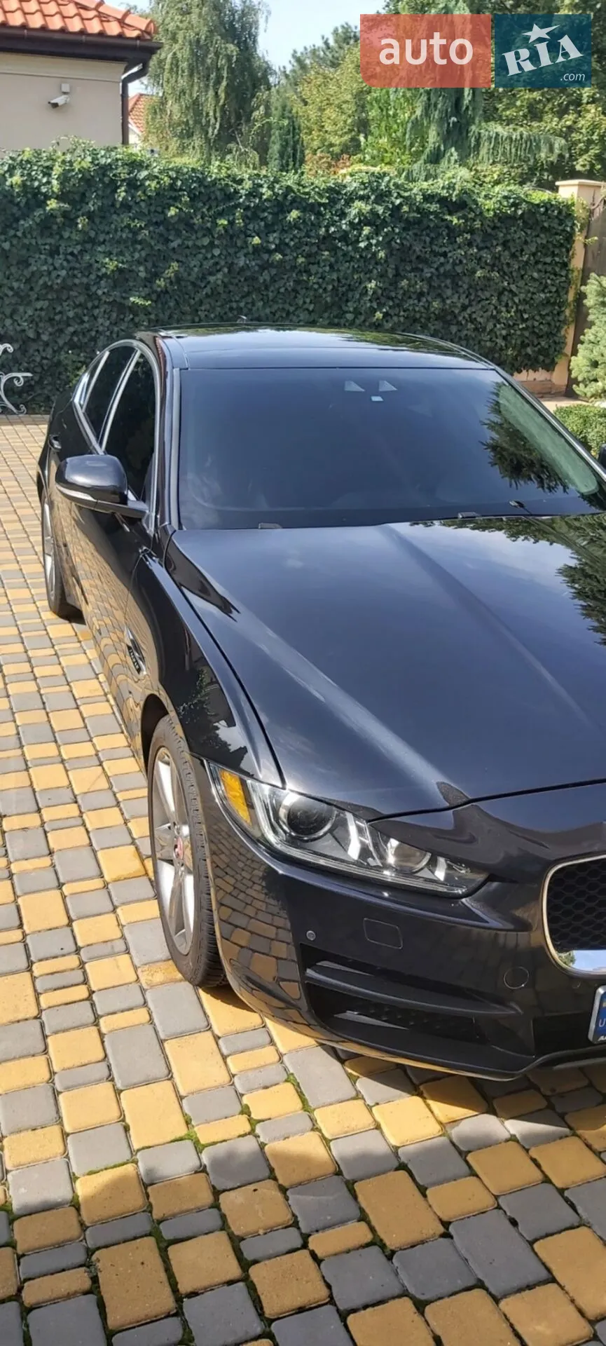 2016 Jaguar XE - мініатюра 4