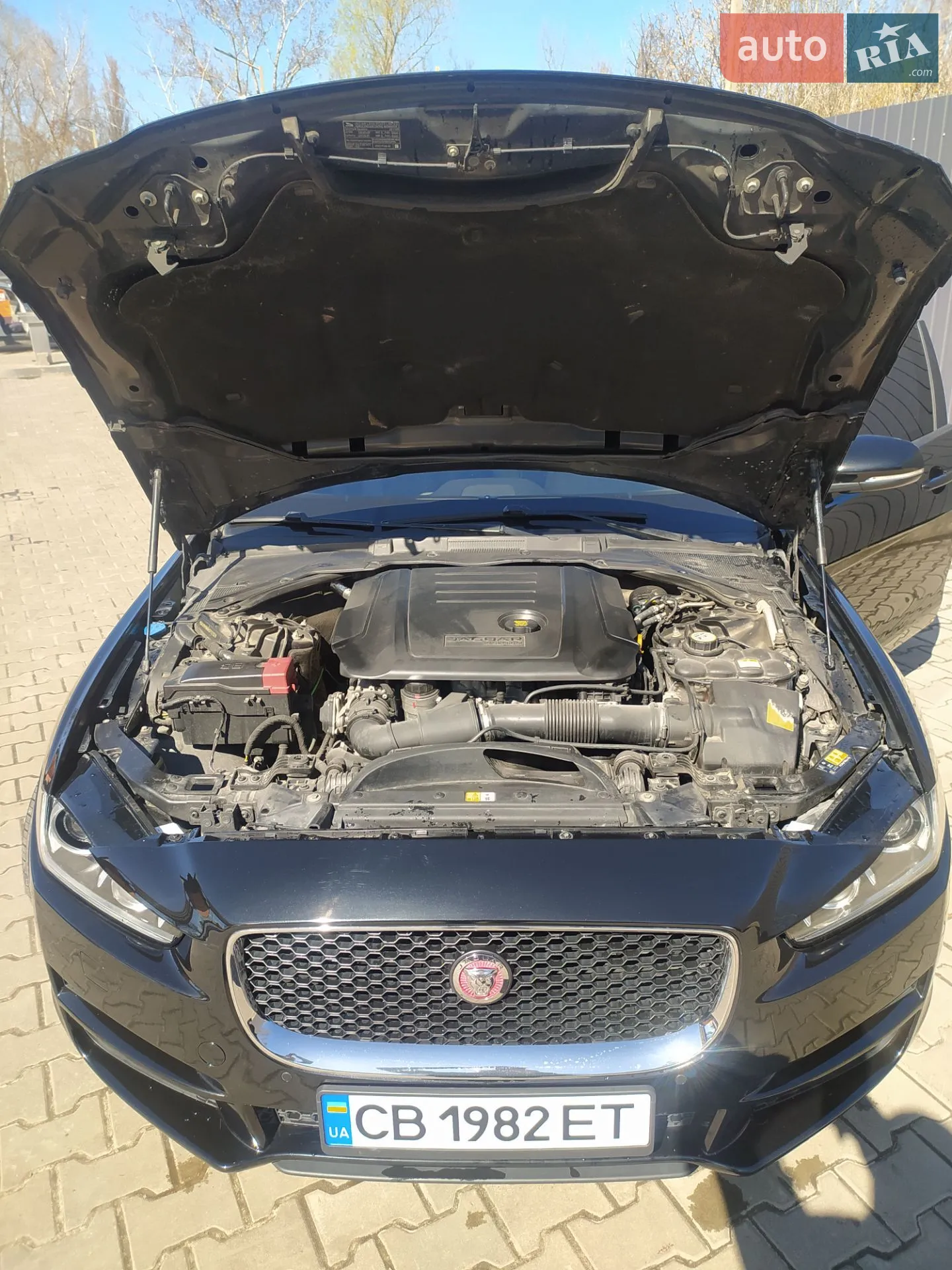 2017 Jaguar XE - мініатюра 8