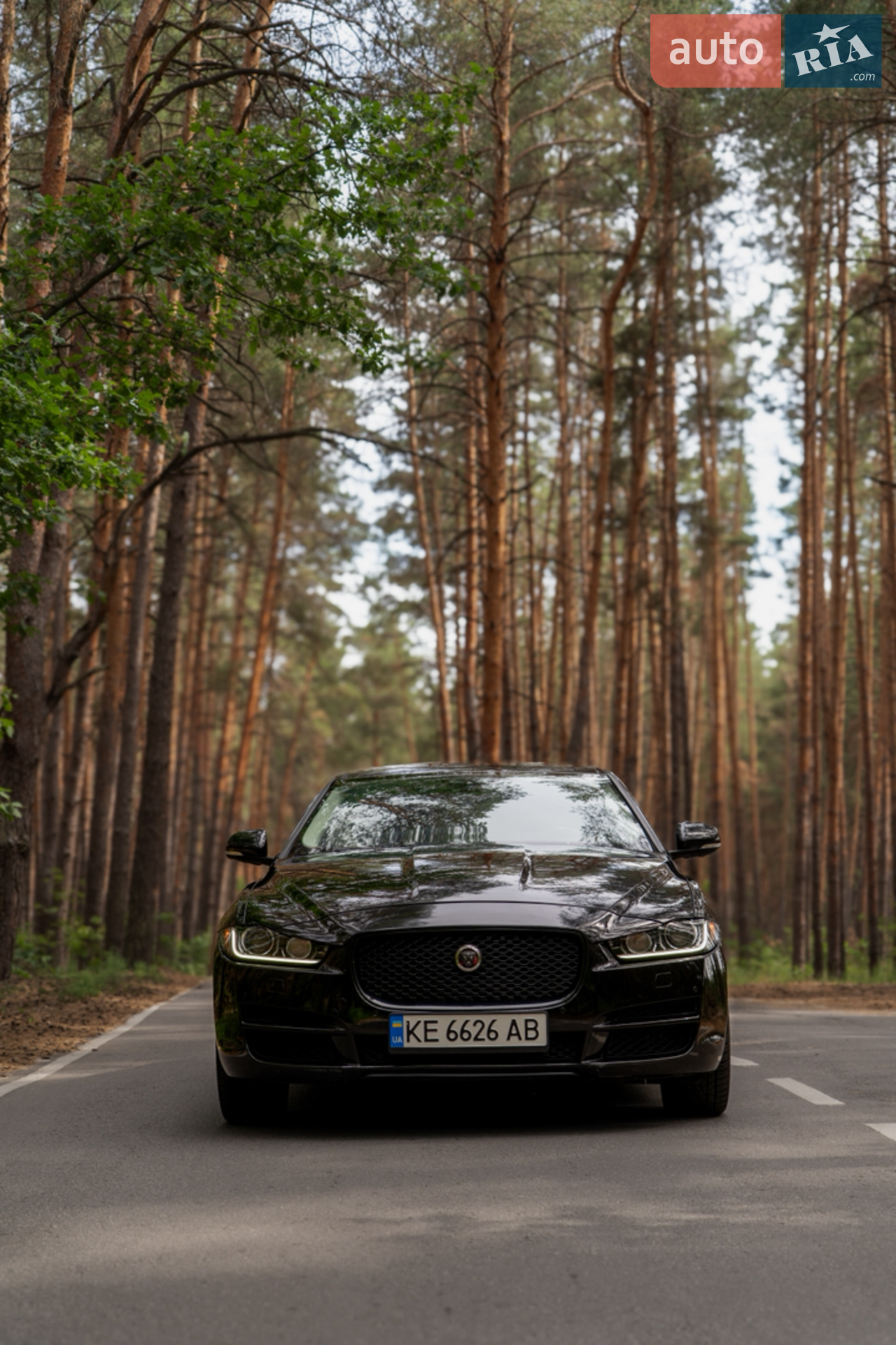2016 Jaguar XE - мініатюра 3