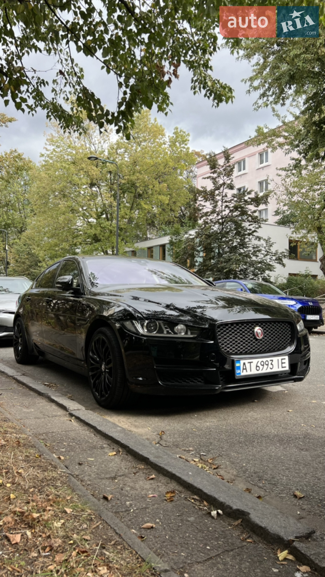 2017 Jaguar XE - мініатюра 5