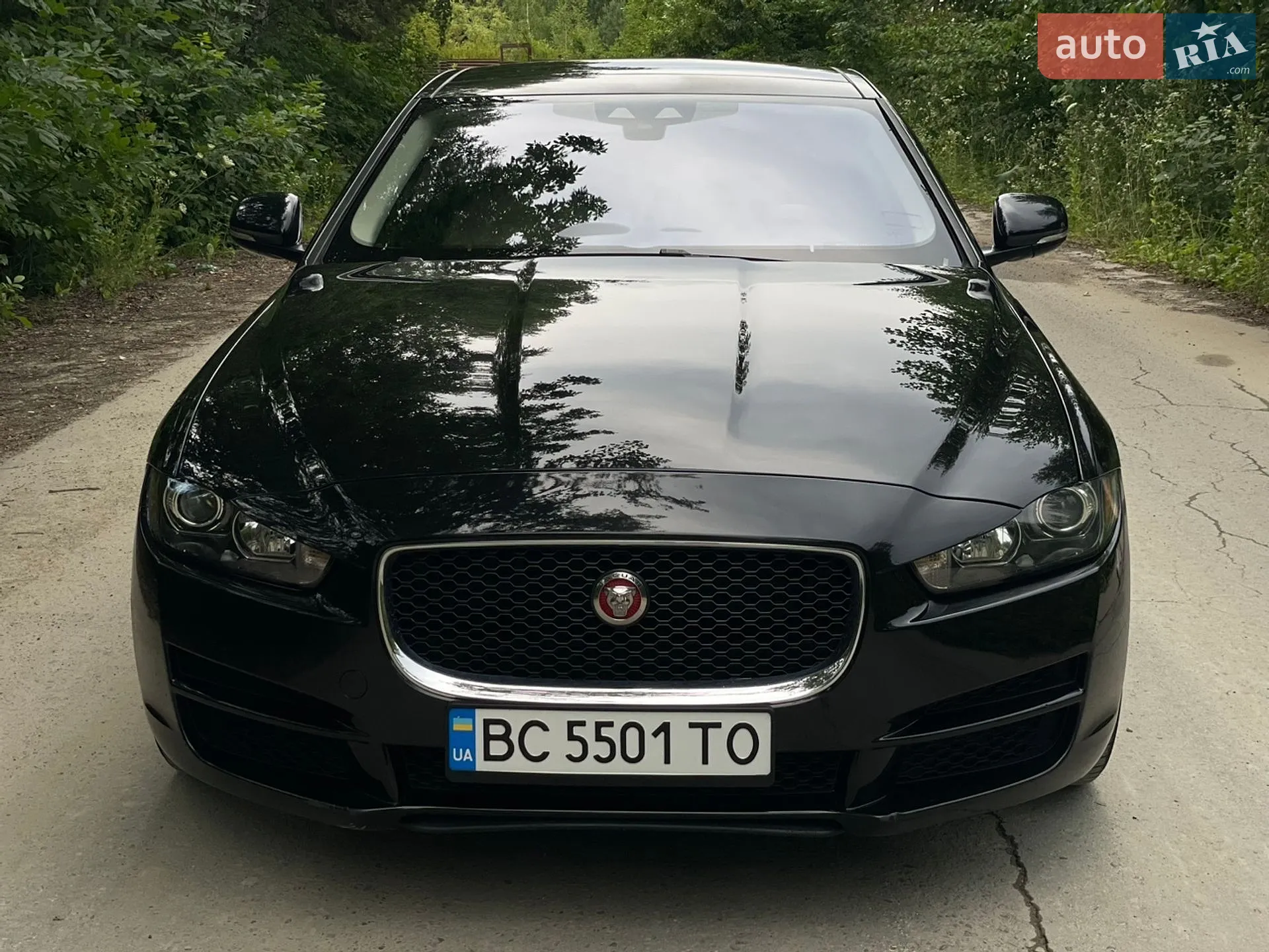 2016 Jaguar XE - мініатюра 13