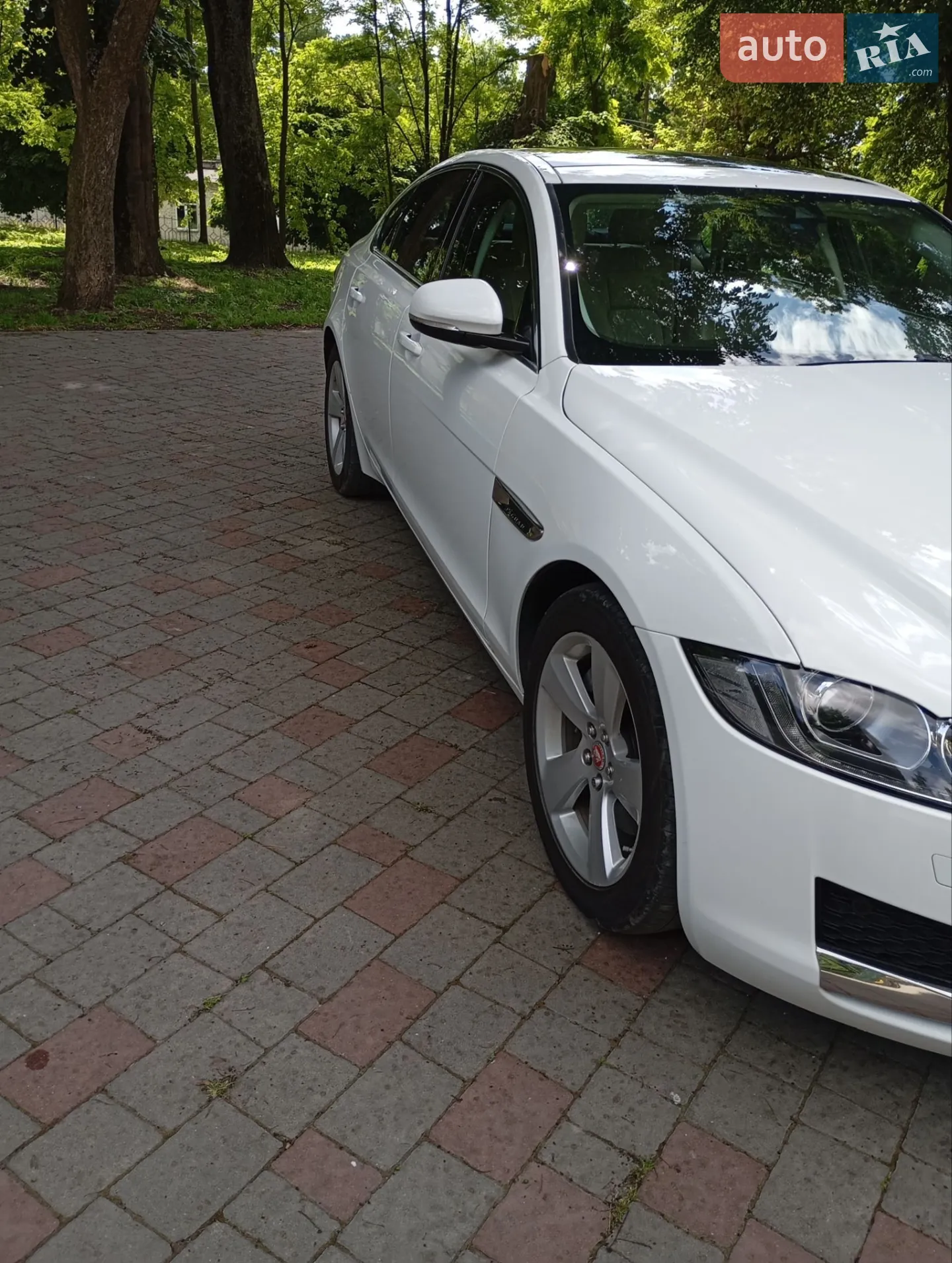 2016 Jaguar XF - мініатюра 4
