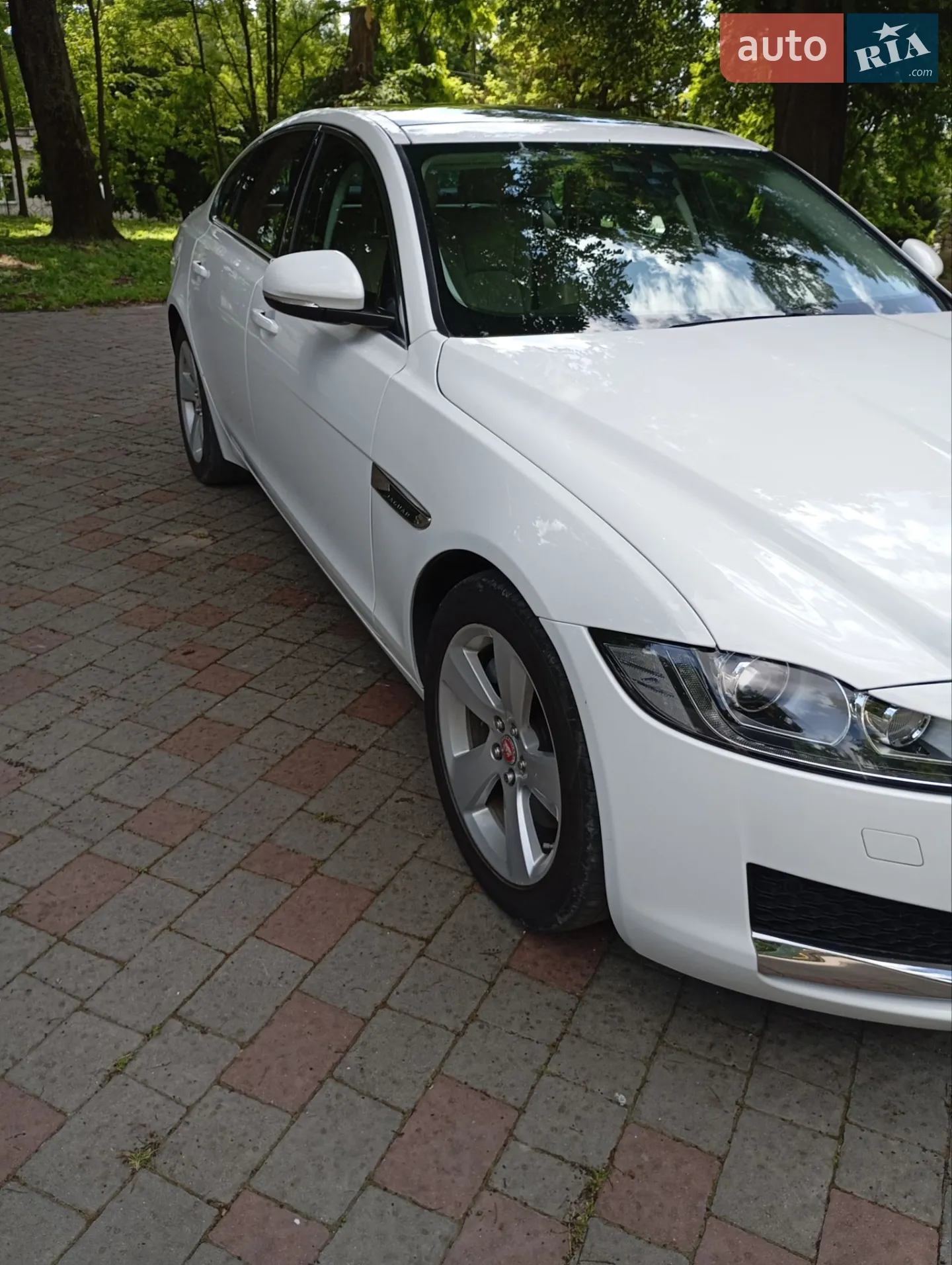 2016 Jaguar XF - мініатюра 13