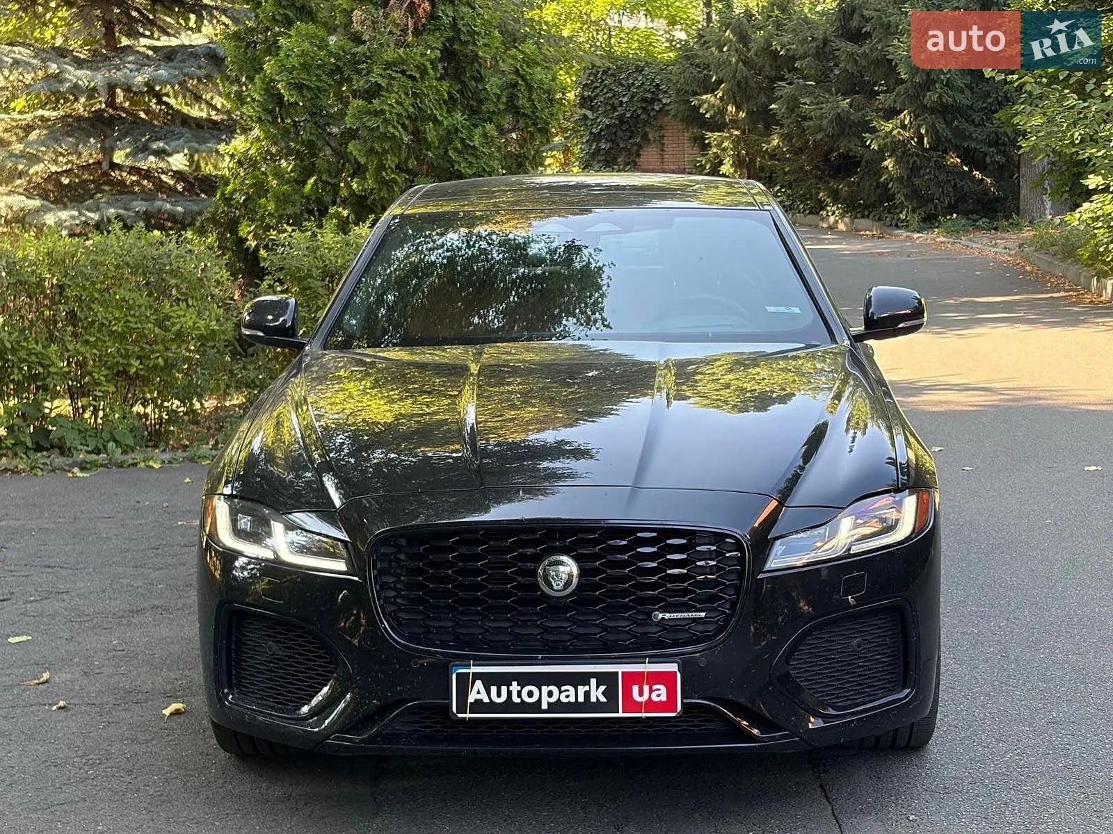 2023 Jaguar XF - мініатюра 2
