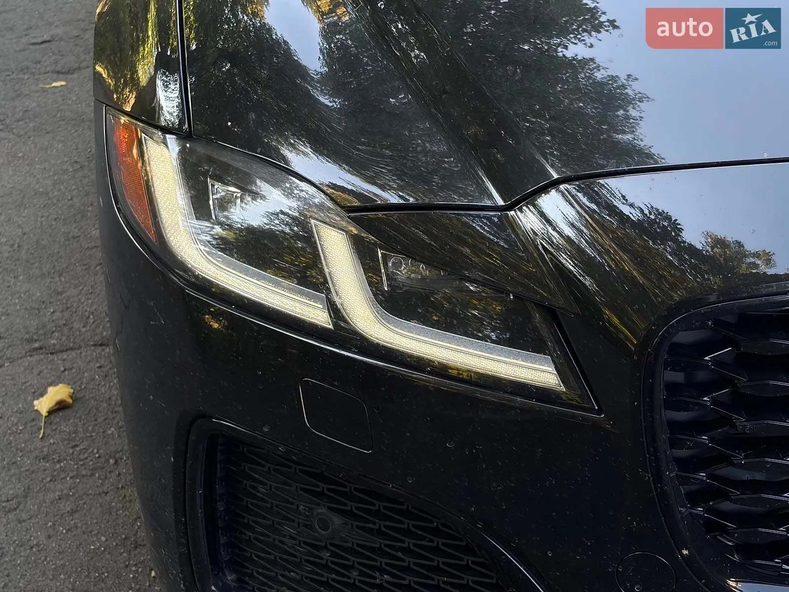 2023 Jaguar XF - мініатюра 33