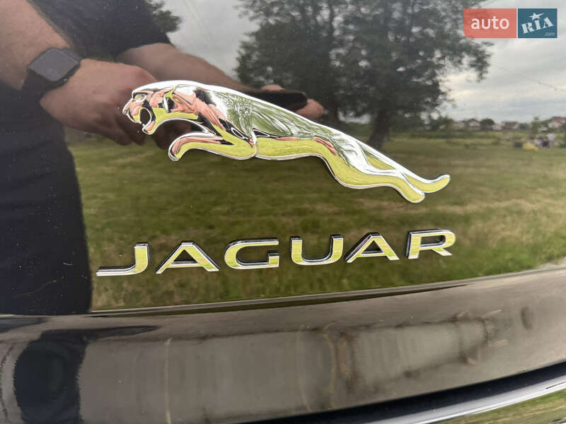 Седан Jaguar XJ 2014 в Борисполе
