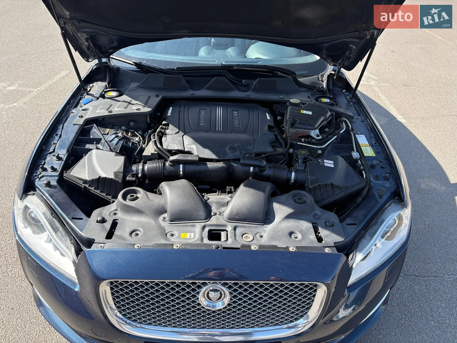 2013 Jaguar XJ - мініатюра 7