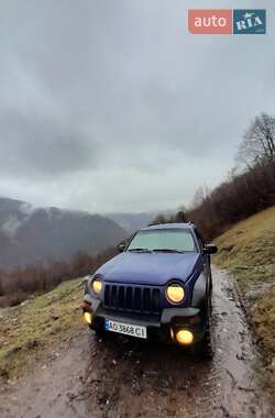 Внедорожник / Кроссовер Jeep Cherokee 2002 в Рахове