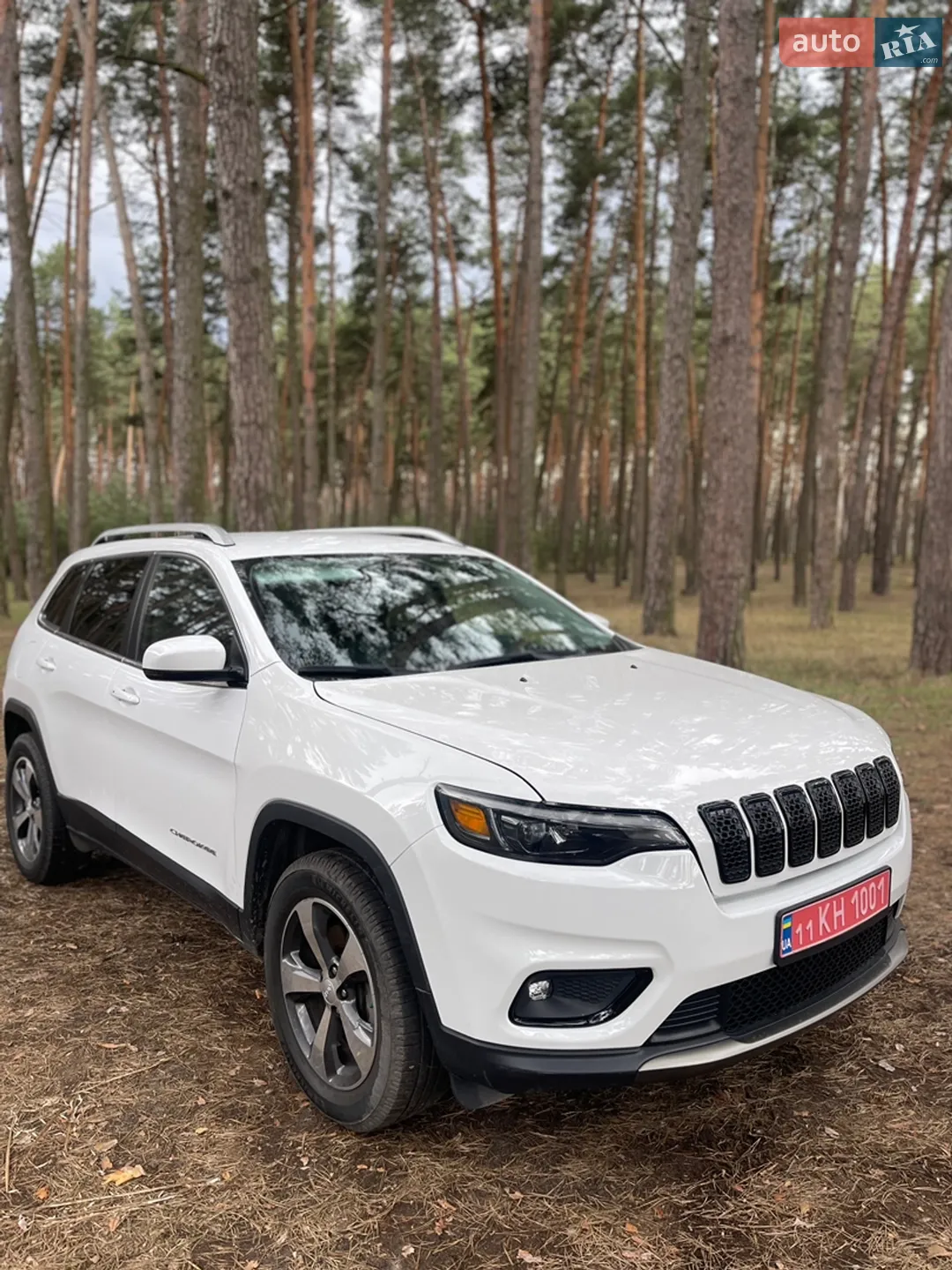 2019 Jeep Cherokee - мініатюра 2