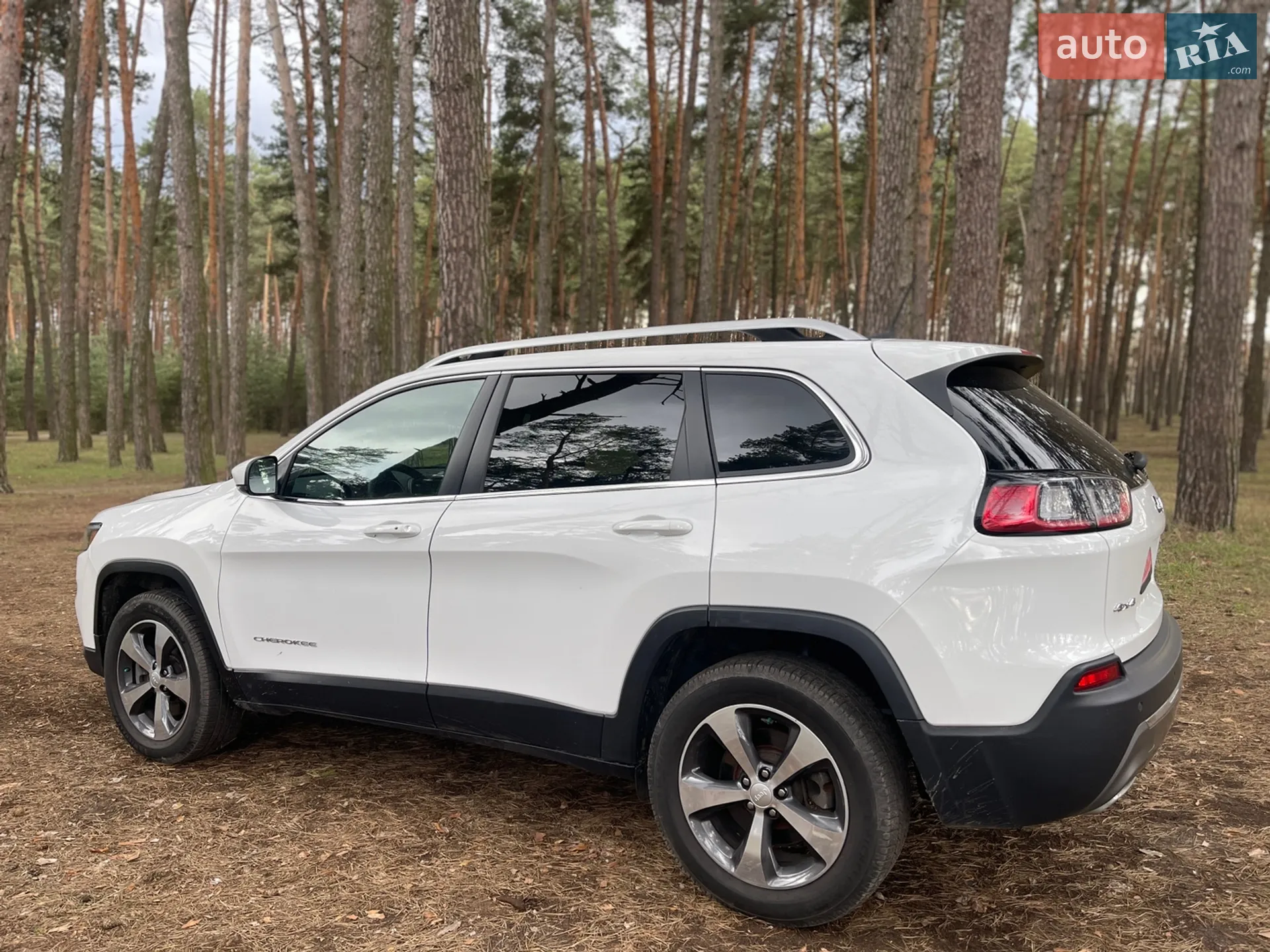 2019 Jeep Cherokee - мініатюра 15