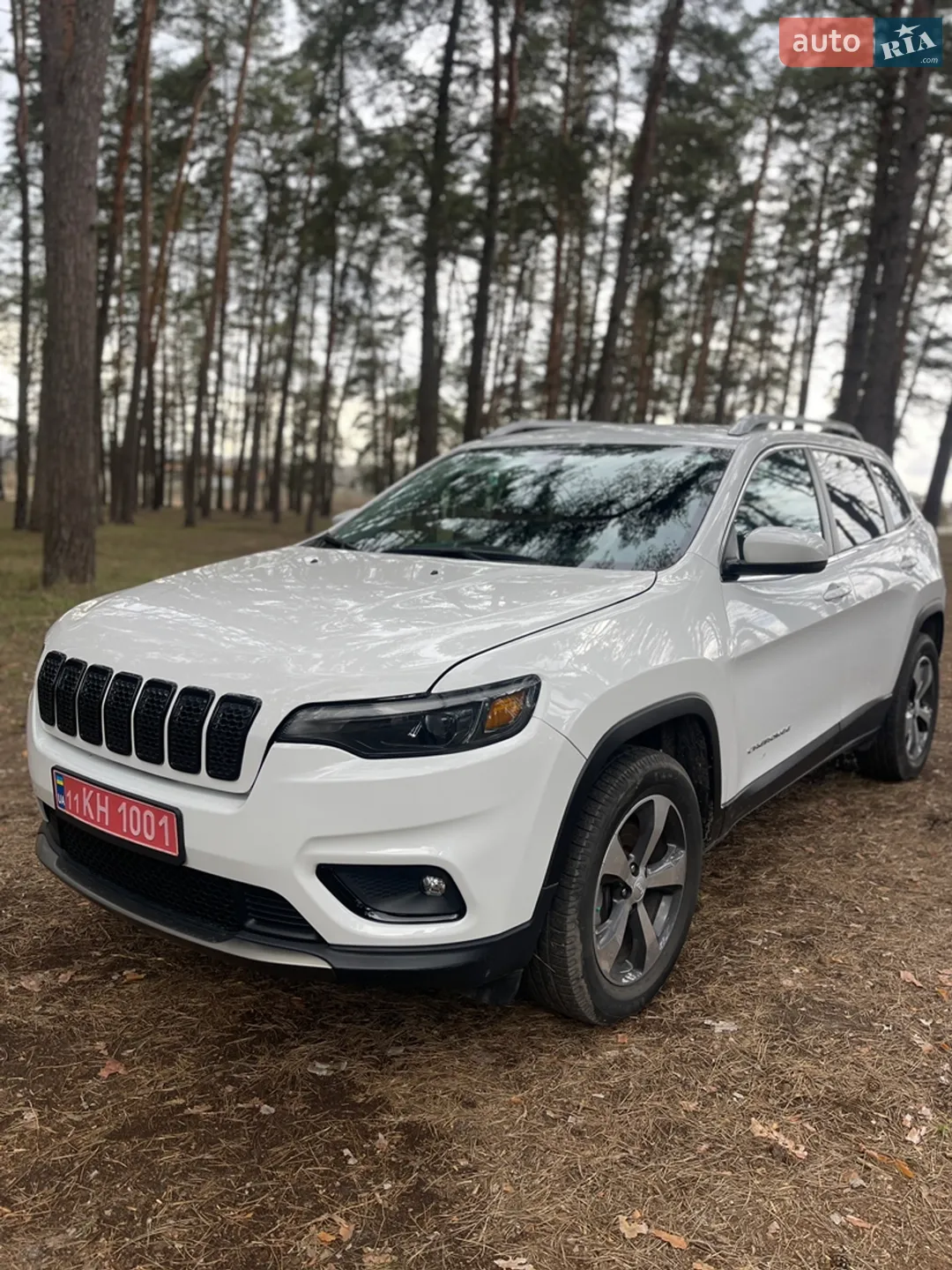 2019 Jeep Cherokee - мініатюра 27