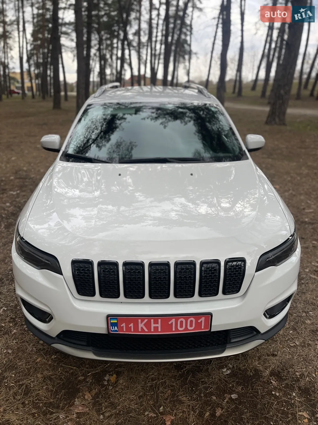 2019 Jeep Cherokee - мініатюра 26