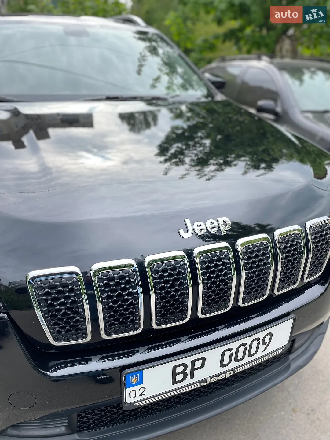 2018 Jeep Cherokee - мініатюра 44