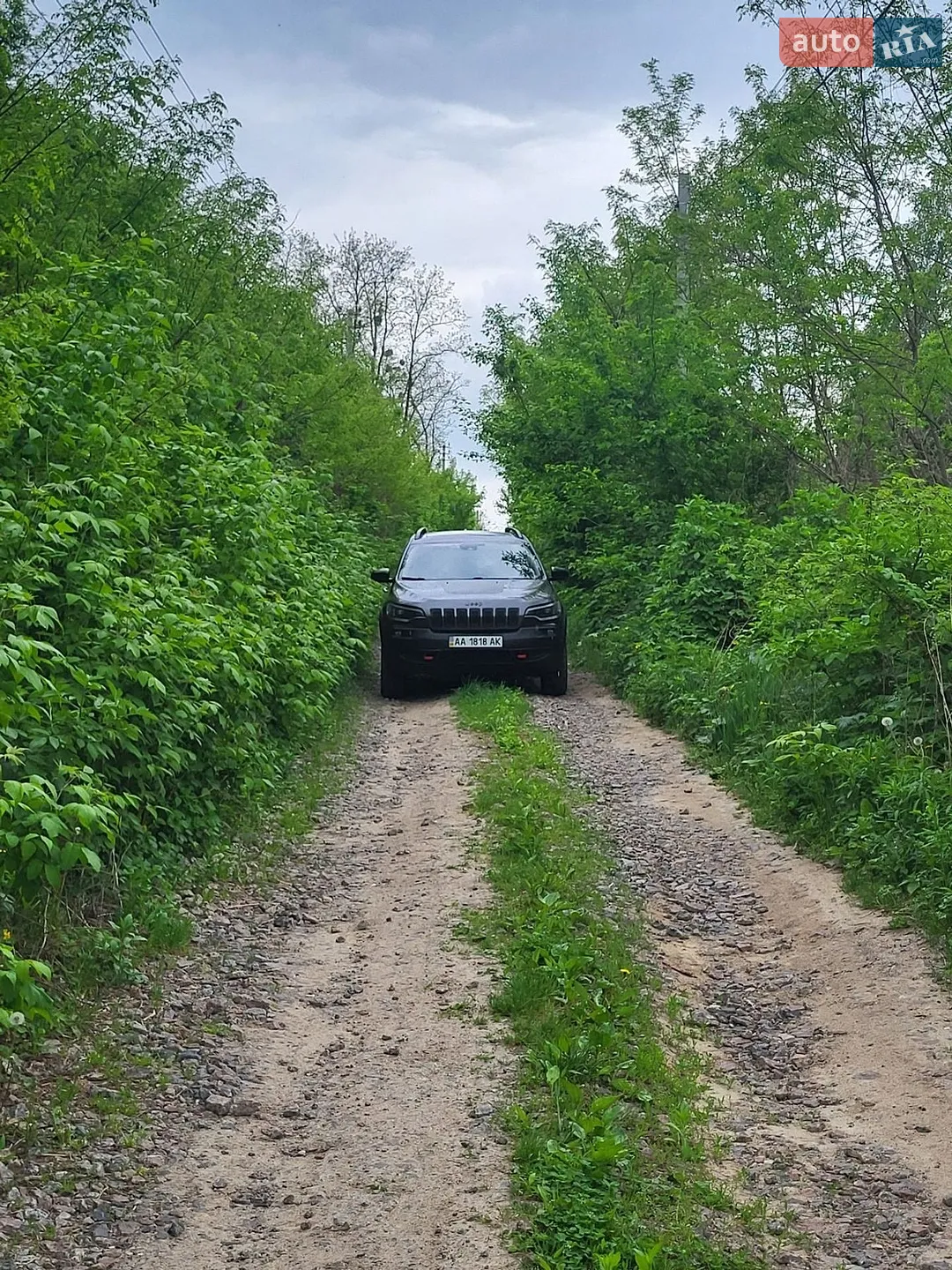 2022 Jeep Cherokee - мініатюра 4