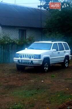 Позашляховик / Кросовер Jeep Grand Cherokee 1994 в 