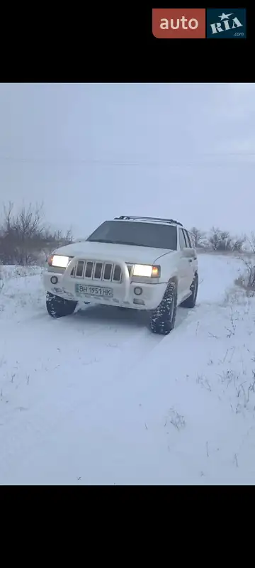 Jeep Grand Cherokee 1995 VIN 1J4GZB8S9SY506303 фото оголошення 19 з 43