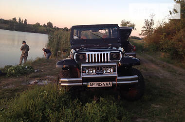 Внедорожник / Кроссовер Jeep Wrangler 1993 в Мелитополе