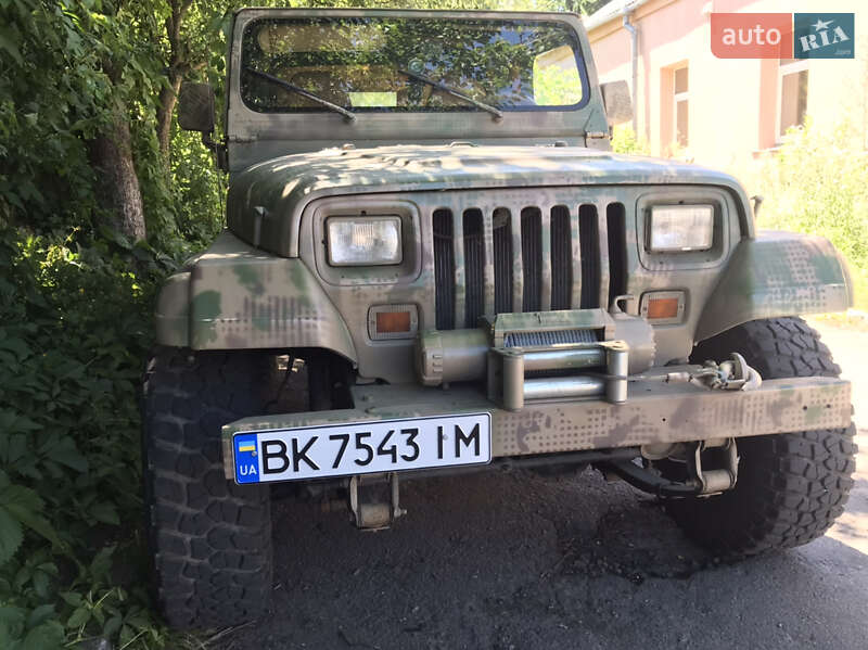 Внедорожник / Кроссовер Jeep Wrangler 1995 в 