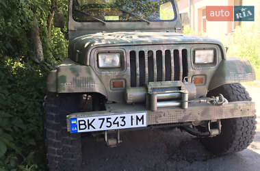 Внедорожник / Кроссовер Jeep Wrangler 1995 в 