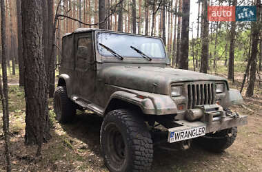 Внедорожник / Кроссовер Jeep Wrangler 1995 в 
