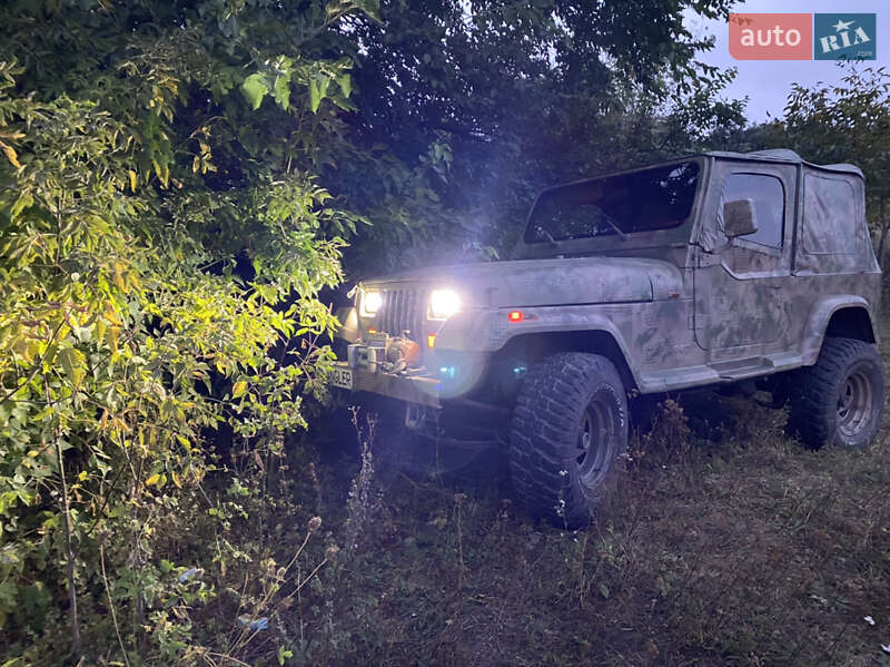 Внедорожник / Кроссовер Jeep Wrangler 1995 в Ровно