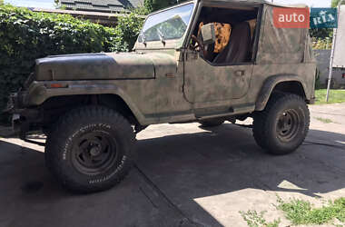 Внедорожник / Кроссовер Jeep Wrangler 1995 в 