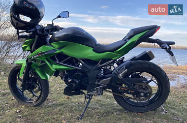 Мотоцикл Без обтекателей (Naked bike) Kawasaki 250 2016 в 