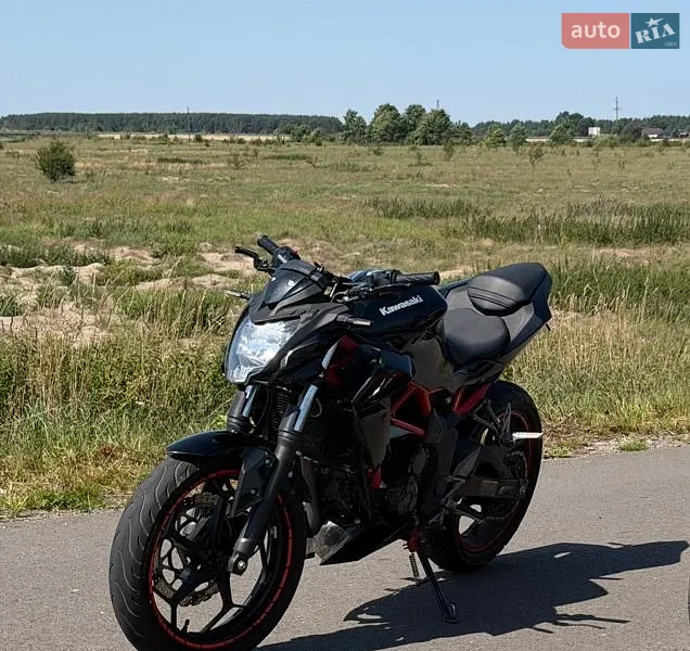 Kawasaki BR 250EJF 2018